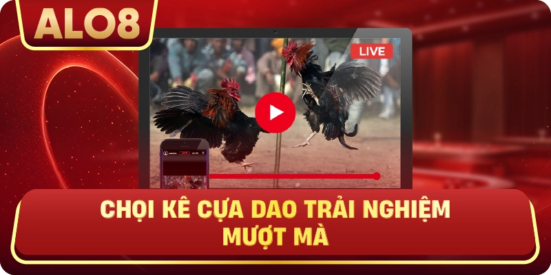 Chọi kê cựa dao trải nghiệm mượt mà