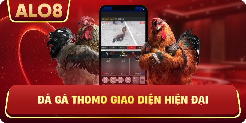 Đá Gà Thomo giao diện hiện đại