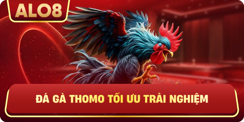Đá Gà Thomo tối ưu trải nghiệm