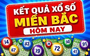 Xổ Số Miền Bắc ALo8 Minh Bạch Và An Toàn 2026